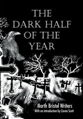 Cover for Ian Millsted · The Dark Half of the Year (Paperback Book) (2016)