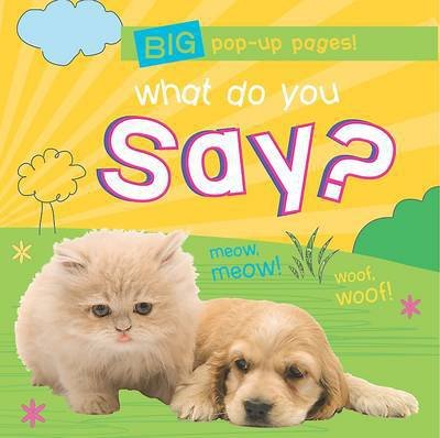 Cover for What Do You Say (Book)
