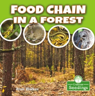 Cover for Alan Walker · Food Chain in a Forest (Hardcover bog) (2021)