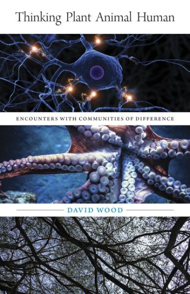 Cover for David Wood · Thinking Plant Animal Human: Encounters with Communities of Difference - Posthumanities (Paperback Book) (2020)