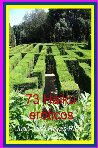 Cover for Juan-jose Reyes Rios · 73 Haiku Eroticos (Paperback Book) (2015)