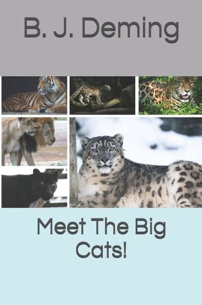 Cover for B J Deming · Meet The Big Cats! (Paperback Book) (2019)