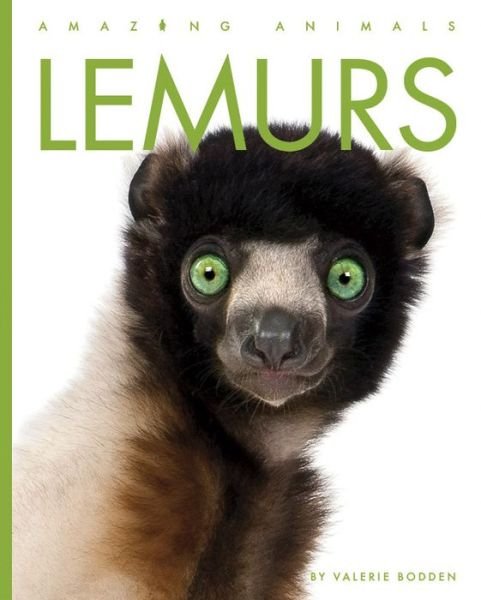 Cover for Valerie Bodden · Lemurs (Bok) (2023)