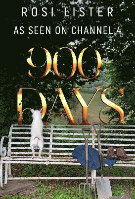 Cover for Rosi Lister · 900 Days (Paperback Book) (2024)