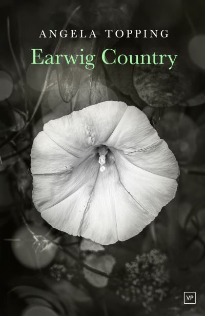 Cover for Angela Topping · Earwig Country (Paperback Book) (2024)