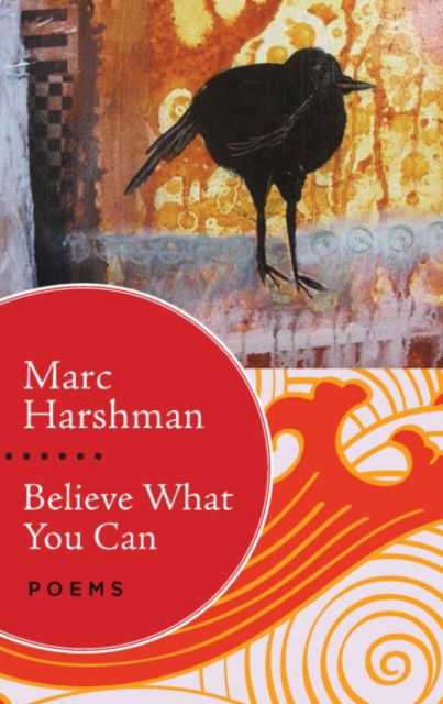 Cover for Marc Harshman · Believe What You Can (Book) (2016)