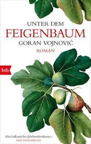 Cover for Goran Vojnovic · Unter dem Feigenbaum (Book) (2023)