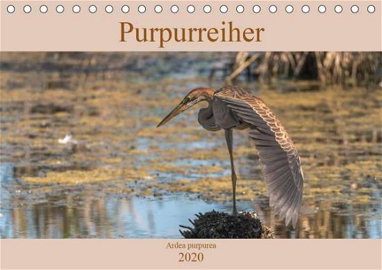 Cover for Köhn · Purpurreiher (Tischkalender 2020 D (Book)