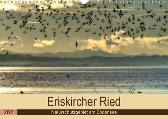 Cover for Brinker · Eriskircher Ried - Naturschutzg (Book)