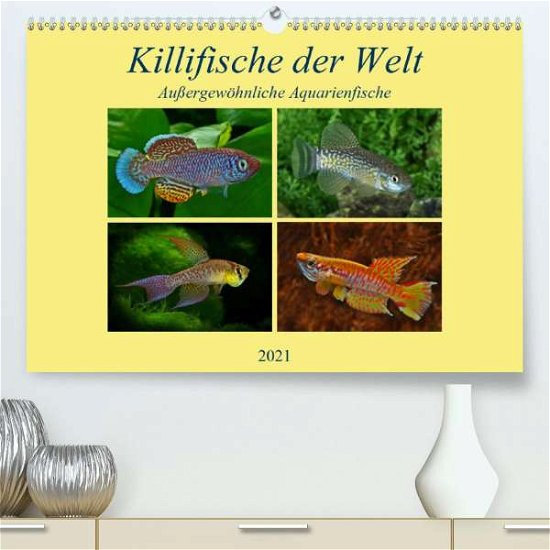 Cover for Pohlmann · Killifische der WeltCH-Version (Bog)