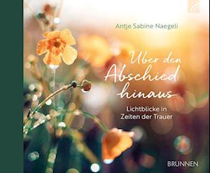 Cover for Antje Sabine Naegeli · Über den Abschied hinaus (Book) (2024)