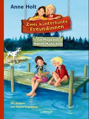 Cover for Anne Holt · Zwei kunterbunte Freundinnen (Hardcover bog) (2014)