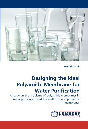 Cover for Wee Kiat Soh · Designing the Ideal Polyamide Membrane for Water Purification: a Study on the Problems of Polyamide Membranes in Water Purification and the Methods to Improve the Membranes (Paperback Book) (2010)