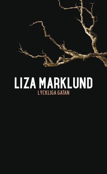 Cover for Liza Marklund · Annika Bengtzon: Lyckliga gatan (ePUB) (2013)