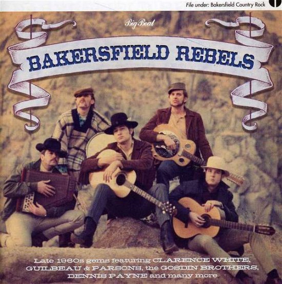 Bakersfield Rebels - V/A - Musik - BIGBEAT - 0029667423229 - 28 juni 2004