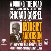 Cover for Robert &amp; Robert Ballinger Anderson · Working The Road (CD) (1999)