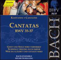 Sacred Cantatas Bwv 35 36 37 - Bach / Gachinger Kantorei / Rilling - Música - HAE - 0040888201229 - 13 de julho de 1999