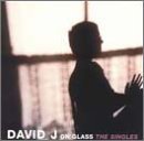 Cover for David J · On Glass (CD) (1990)