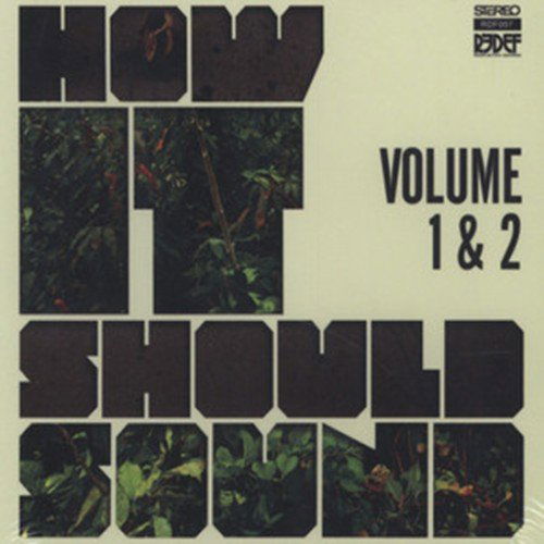 How It Should Sound - Damu The Fudgemunk - Muzyka - REDEFINITION - 0659123014229 - 8 kwietnia 2010