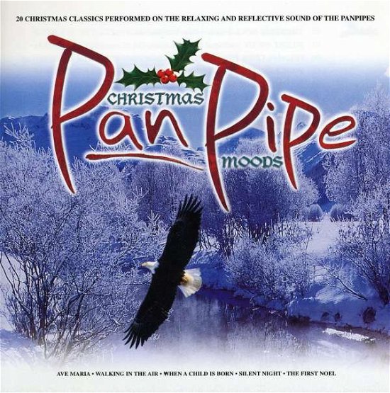 Christmas Pan-pipe Moods / Various - Christmas Pan-pipe Moods / Various - Musik - Metro - 0698458500229 - 21. november 2000
