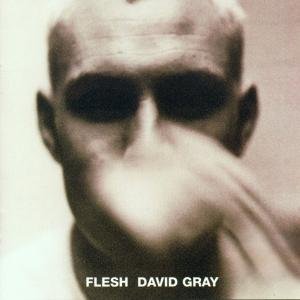 Cover for David Gray · Flesh (CD) (2001)