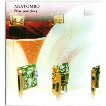 False Positives - Akatombo - Musik - Hand-Held Recordings - 0753907161229 - 3. juli 2012