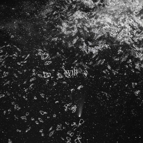 Cover for Wilt (CD) (2022)