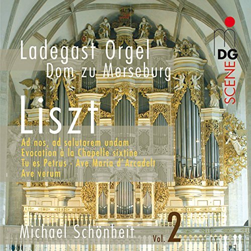Organ Works Vol.2 - F. Liszt - Musik - MDG - 0760623135229 - 21. November 2005