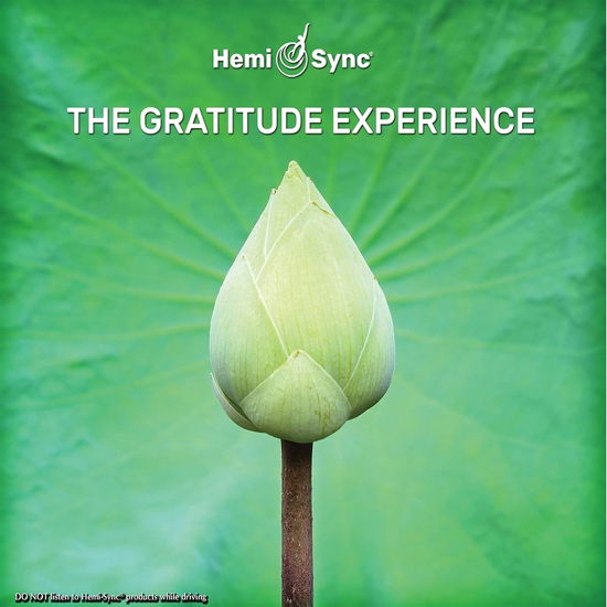 Cover for Patty Ray Avalon &amp; Hemi-sync · The Gratitude Experience (CD) (2020)