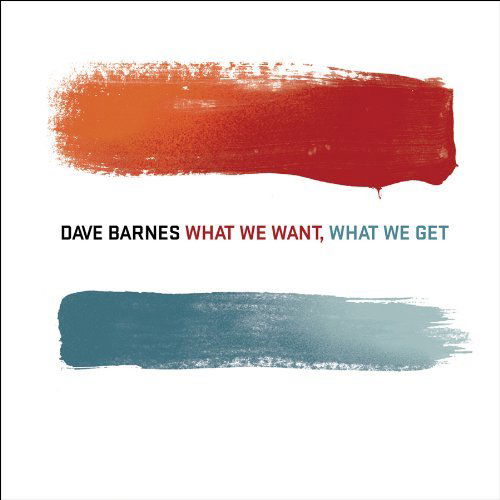 What We Want What We Got - Dave Barnes - Musique - RAZOR & TIE - 0793018308229 - 6 avril 2010
