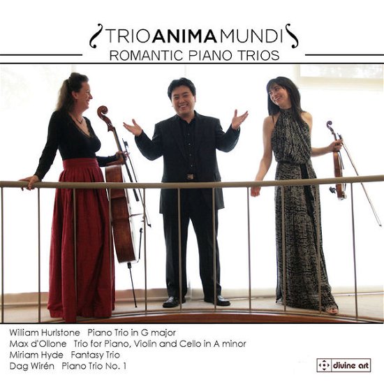 Cover for Hurlstone / Trio Anima Mundi · Romantic Piano Trios (CD) (2013)
