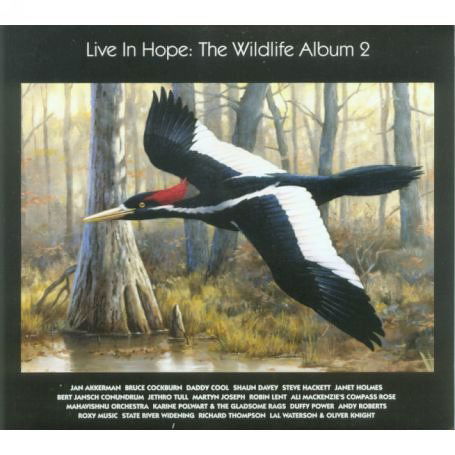 Live In Hope Vol.2 - V/A - Muziek - MARKET SQUARE - 0823566029229 - 10 maart 2006