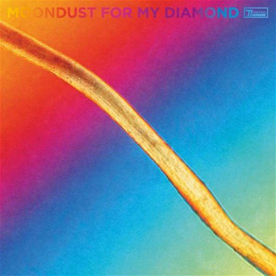 Moondust For My Diamond - Hayden Thorpe - Musiikki - DOMINO RECORDS - 0887828048229 - perjantai 15. lokakuuta 2021
