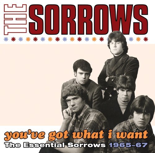Cover for Sorrows · Youve Got What I Want: Essential Sorrows 1965-67 (CD) (2010)