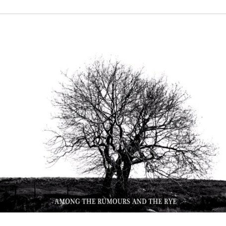Mr. David Viner · Among The Rumours And The Rye (CD) (2008)