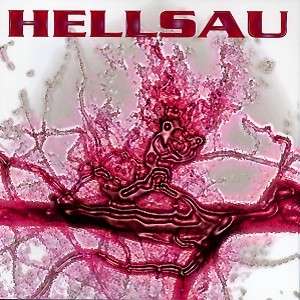 Cover for Hellsau · Vain (CD) (2022)