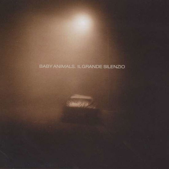 Cover for Baby Animals · Il Grande Silenzio (CD) (2008)