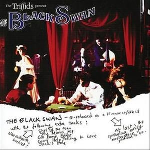 Cover for The Triffids · Black Swan, the (CD) (2002)