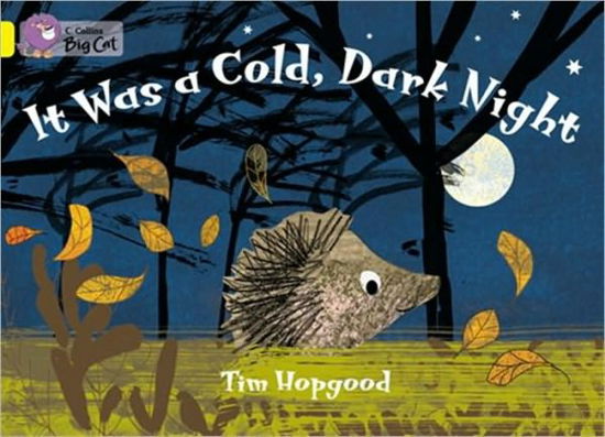 It Was a Cold Dark Night: Band 03/Yellow - Collins Big Cat - Tim Hopgood - Books - HarperCollins Publishers - 9780007329229 - January 5, 2010