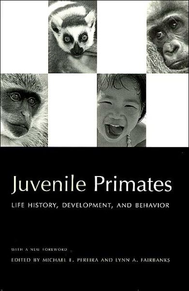 Cover for Michael E. Pereira · Juvenile Primates: Life History, Development and Behavior, with a new Foreword (Paperback Book) [New edition] (2002)