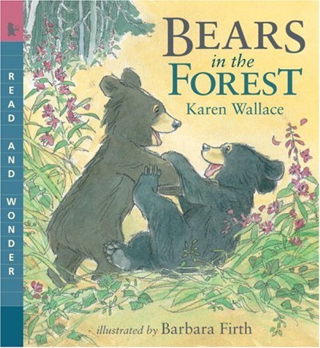 Cover for Karen Wallace · Bears in the Forest: Read &amp; Wonder (Read and Wonder) (Pocketbok) (2009)