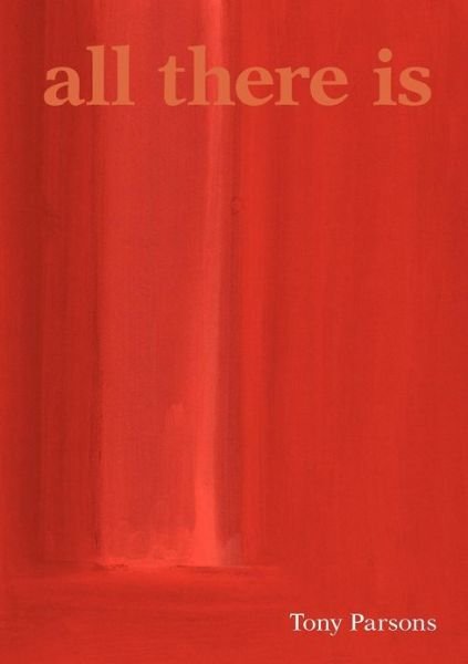 Cover for Tony Parsons · All There is (Paperback Book) (2003)