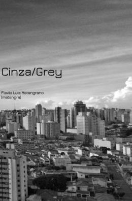 Flavio Matangrano · Cinza / Gray (Hardcover Book) (2024)