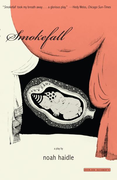 Cover for Noah Haidle · Smokefall (Book) (2017)