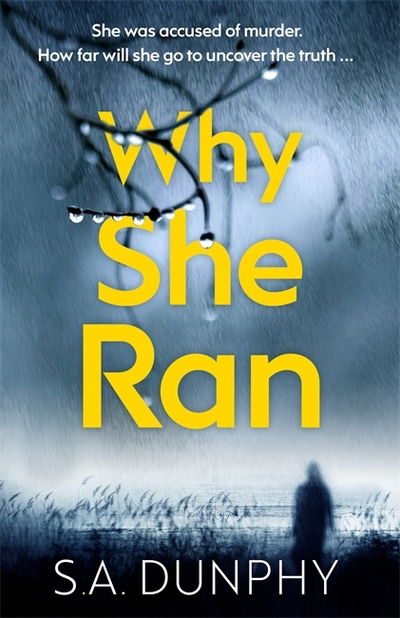 Cover for S.A. Dunphy · Why She Ran - David Dunnigan (Taschenbuch) (2020)