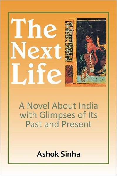 Cover for Ashok Sinha · The Next Life: a Novel About India with Glimpses of Its Past and Present (Paperback Book) (2012)