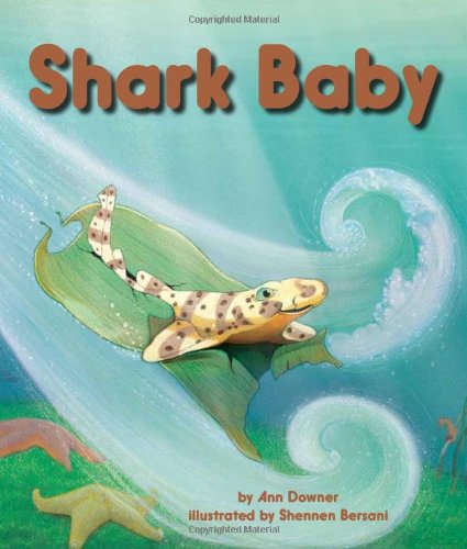 Cover for Ann Downer · Shark Baby (Inbunden Bok) (2013)