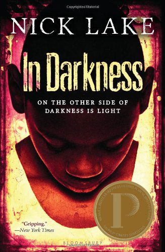 Cover for Holt Mcdougal · Holt Mcdougal Library: in Darkness (Paperback Book) (2014)