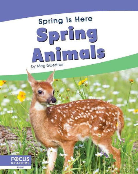 Cover for Meg Gaertner · Spring Animals - Spring Is Here (Hardcover Book) (2020)