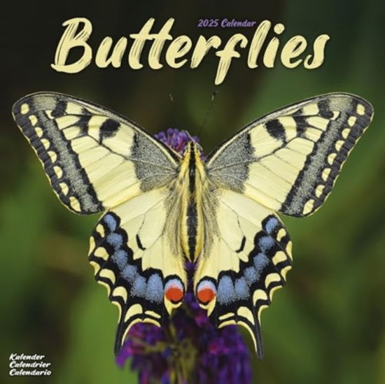 Butterflies Calendar 2025 Square Butterfly Wall Calendar - 16 Month -  - Merchandise - Avonside Publishing Ltd - 9781804604229 - July 1, 2024